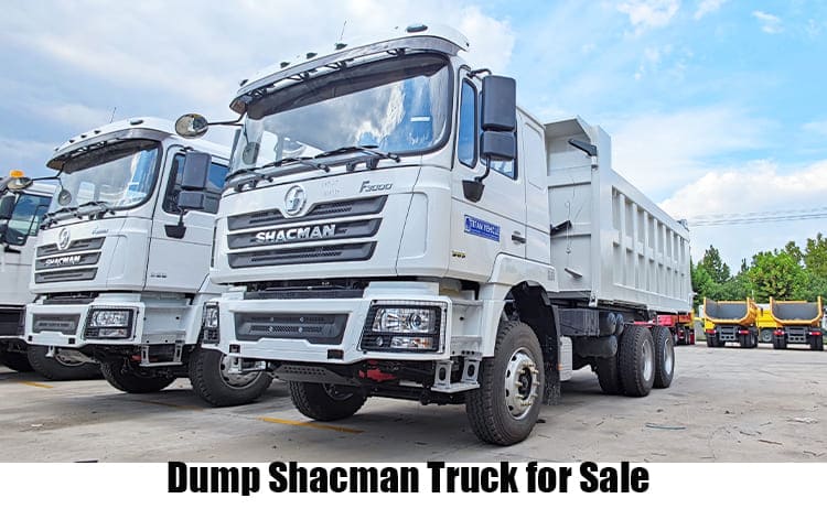 Shacman Truck F3000 Specs Dump Truck for Sale in Serria Leone